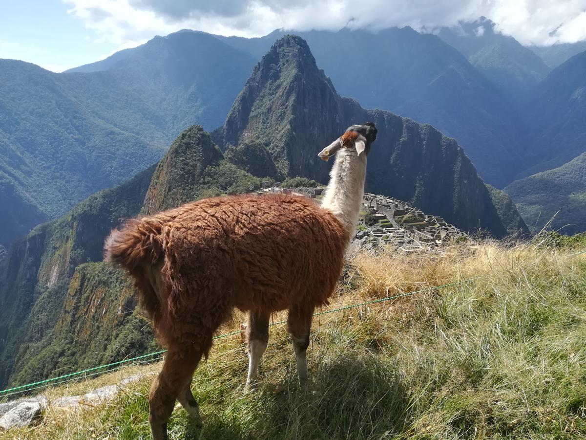 Golden Sunrise Machupicchu Otel Dış mekan fotoğraf